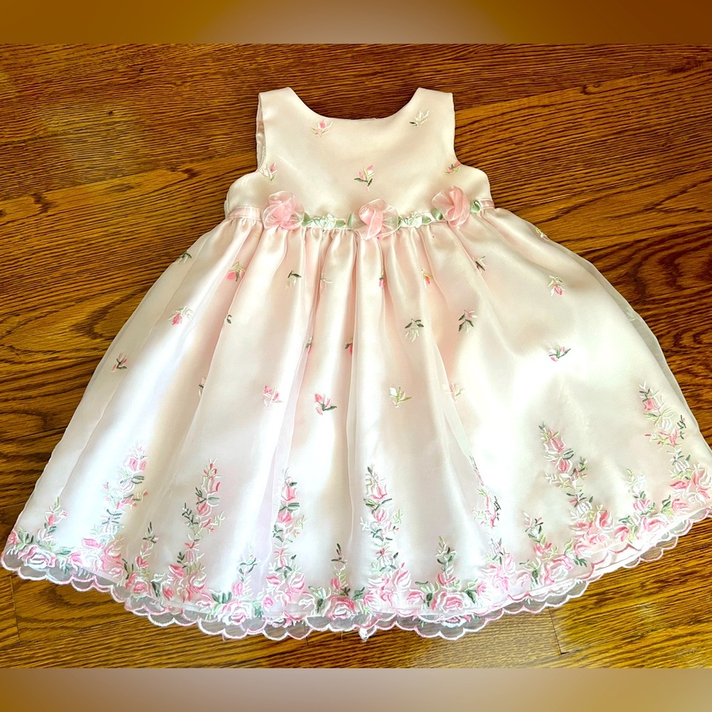 Cinderella Light Pink Organdy Dress with Embroidered Flowers